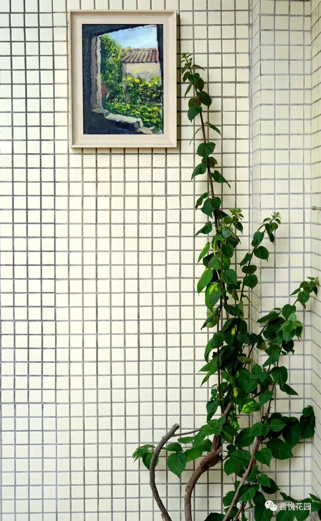 在阳台上能晒日光浴吗_阳台沐浴阳光_阳光浴一般晒多久