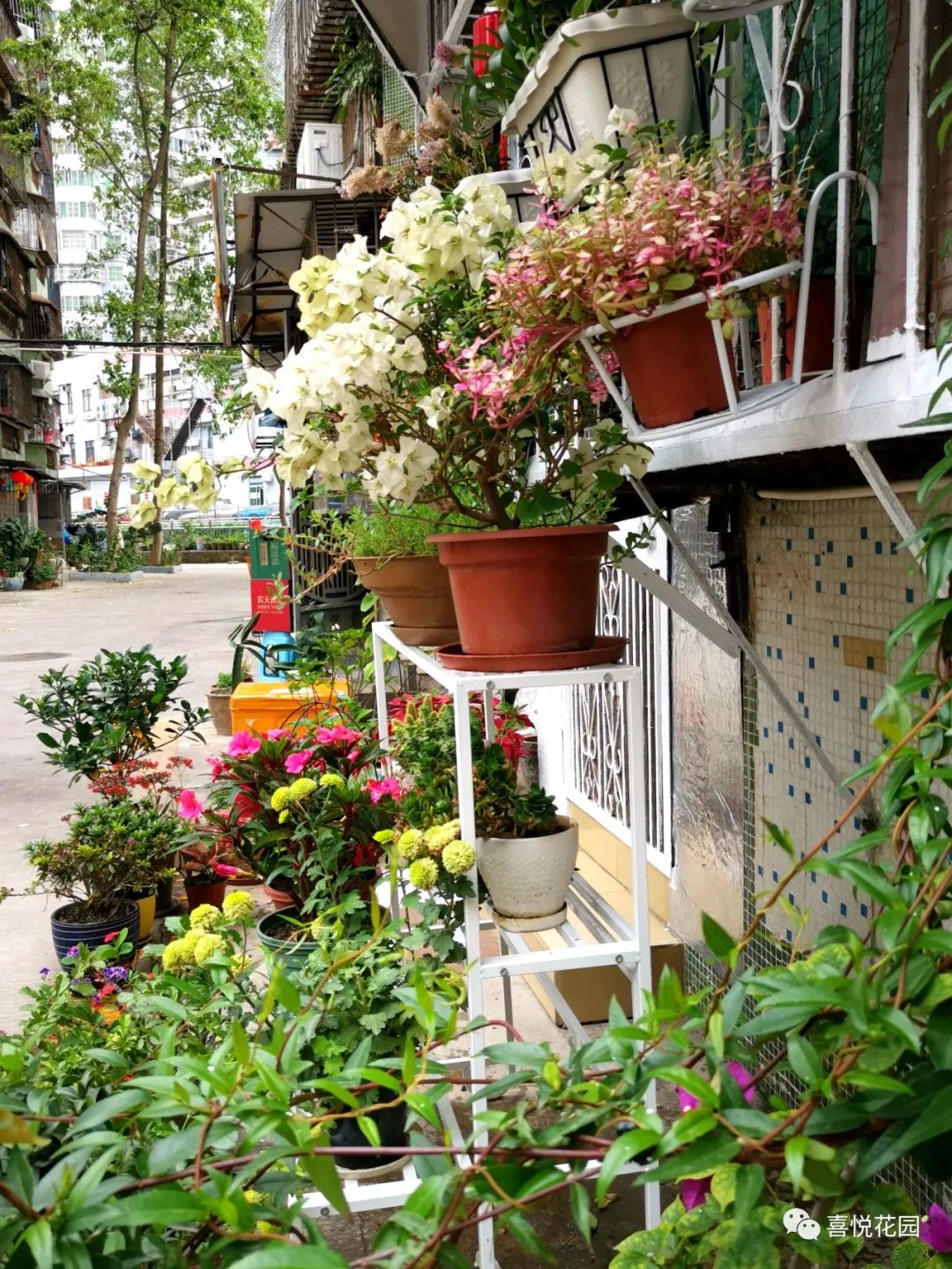 阳台沐浴阳光_在阳台上能晒日光浴吗_阳光浴一般晒多久