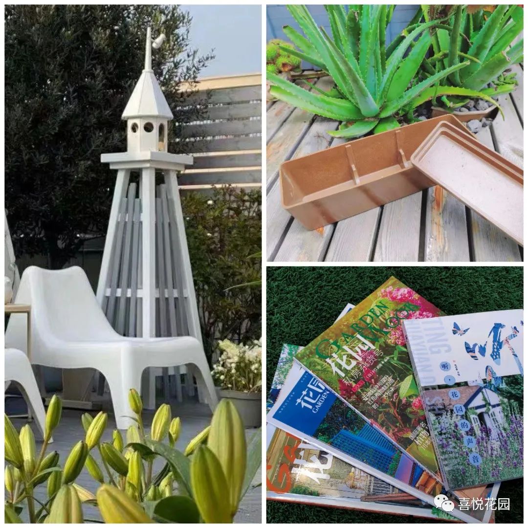 阳台沐浴阳光_在阳台上能晒日光浴吗_阳光浴一般晒多久