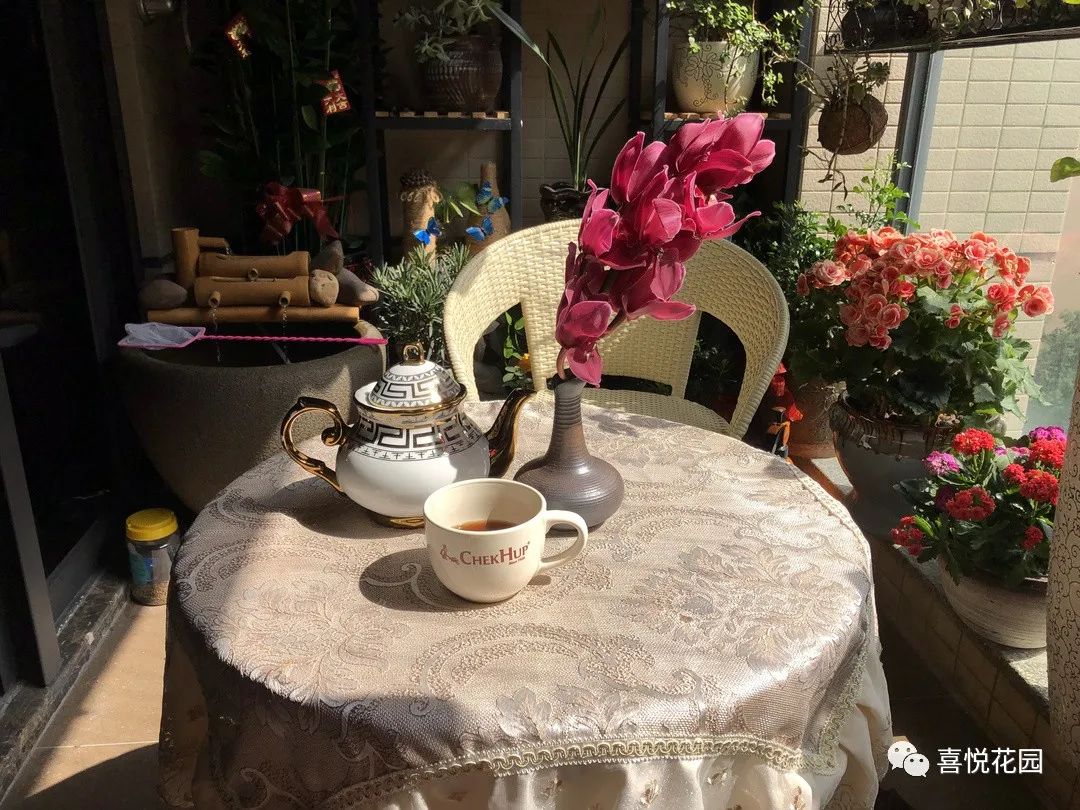 阳光浴一般晒多久_在阳台上能晒日光浴吗_阳台沐浴阳光