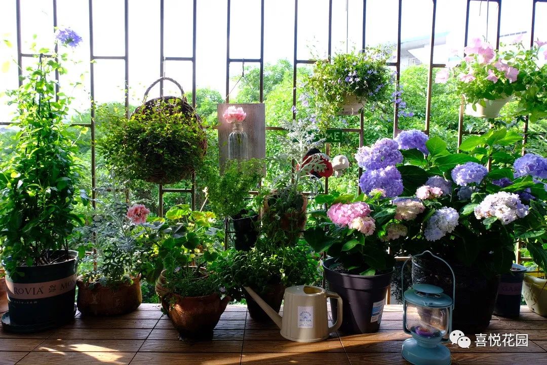 在阳台上能晒日光浴吗_阳光浴一般晒多久_阳台沐浴阳光