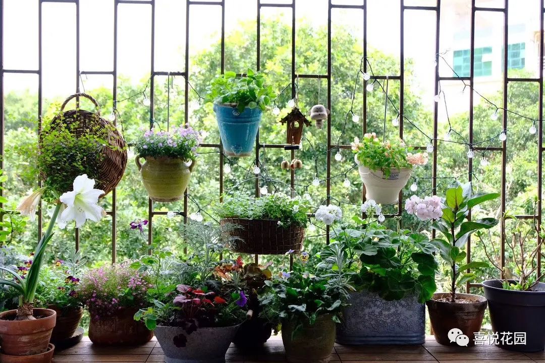 阳台沐浴阳光_在阳台上能晒日光浴吗_阳光浴一般晒多久