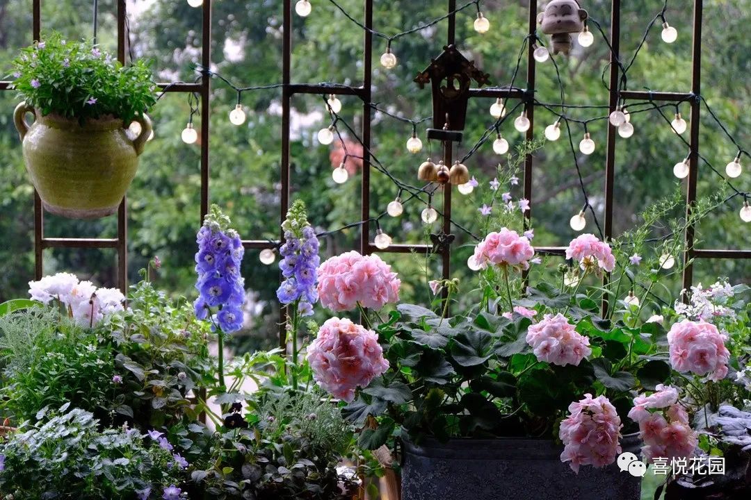 阳台沐浴阳光_阳光浴一般晒多久_在阳台上能晒日光浴吗