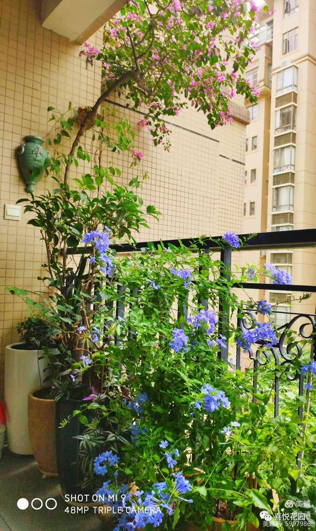 阳光浴一般晒多久_阳台沐浴阳光_在阳台上能晒日光浴吗