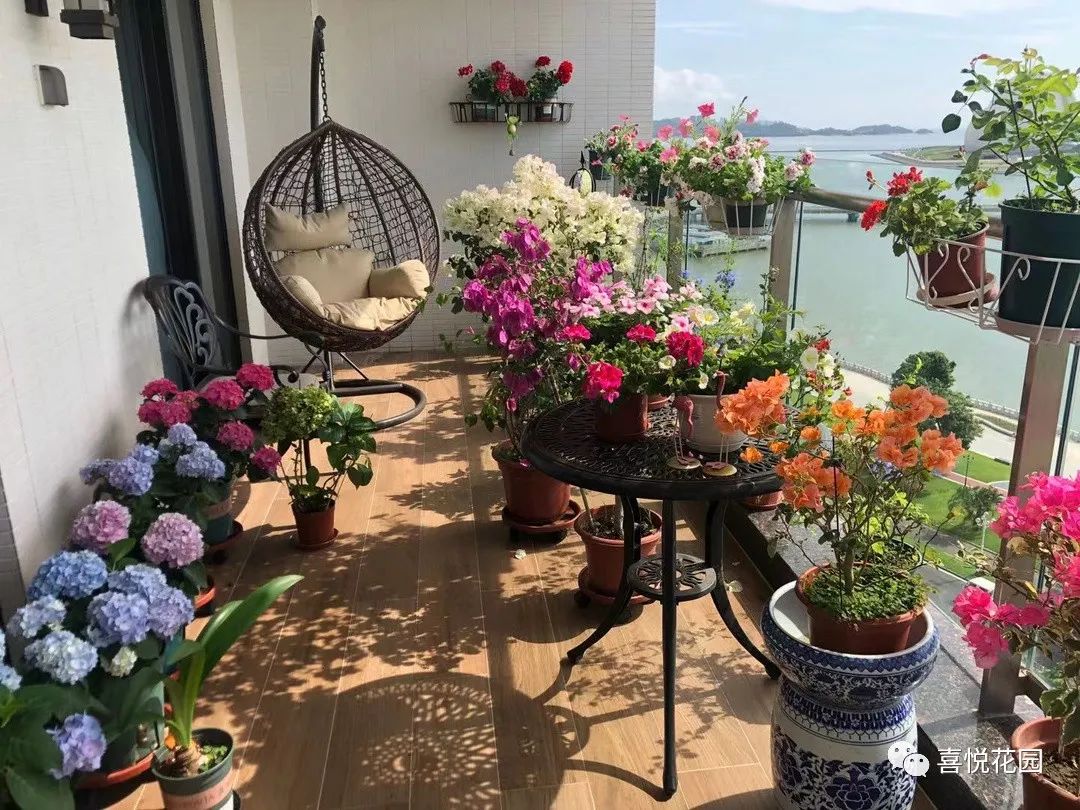 阳光浴一般晒多久_阳台沐浴阳光_在阳台上能晒日光浴吗