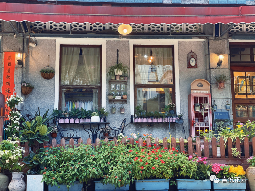 在阳台上能晒日光浴吗_阳光浴一般晒多久_阳台沐浴阳光