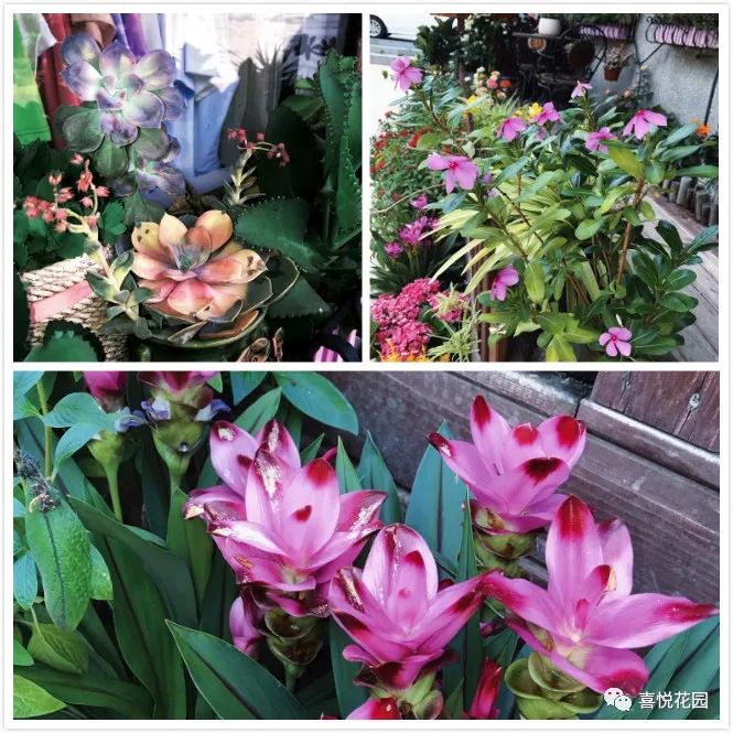 阳台沐浴阳光_阳光浴一般晒多久_在阳台上能晒日光浴吗