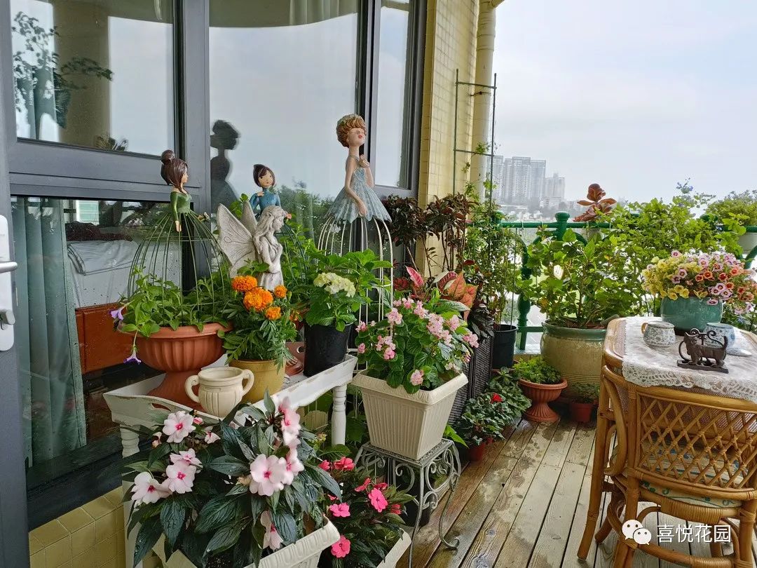 阳台沐浴阳光_在阳台上能晒日光浴吗_阳光浴一般晒多久