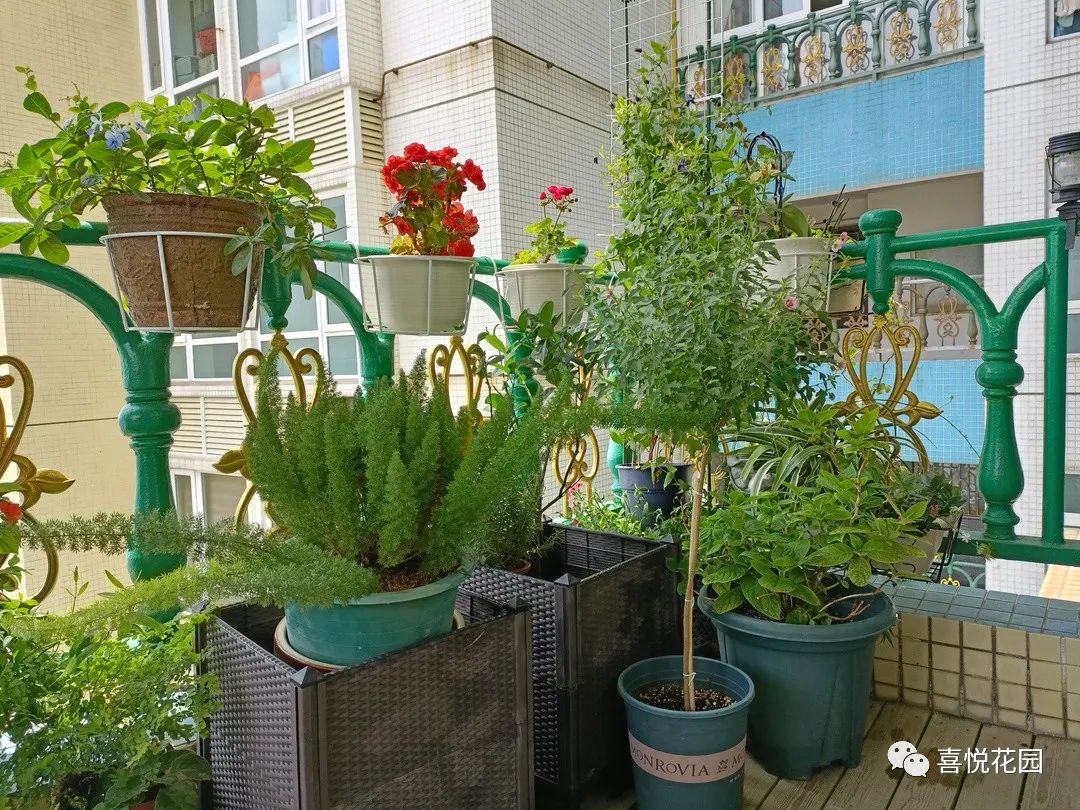 阳光浴一般晒多久_阳台沐浴阳光_在阳台上能晒日光浴吗