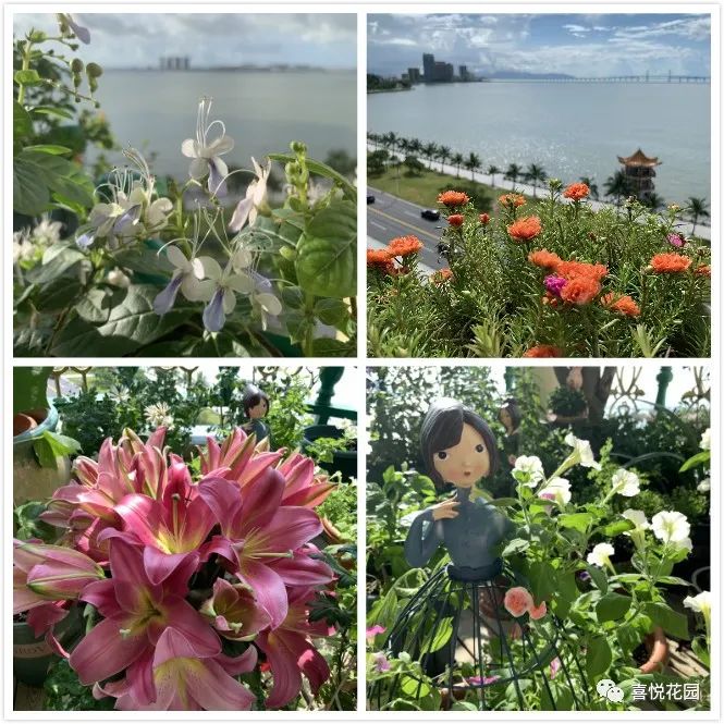 阳光浴一般晒多久_在阳台上能晒日光浴吗_阳台沐浴阳光