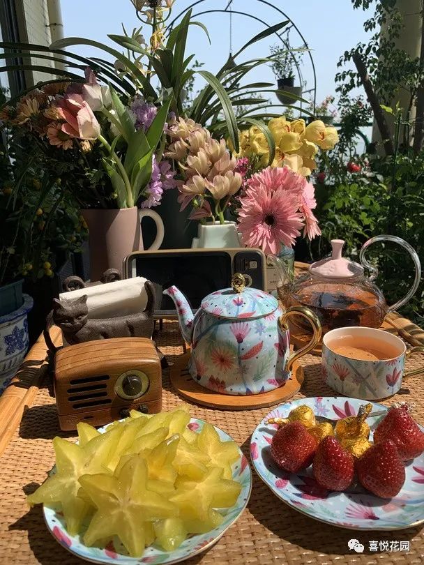 阳台沐浴阳光_阳光浴一般晒多久_在阳台上能晒日光浴吗