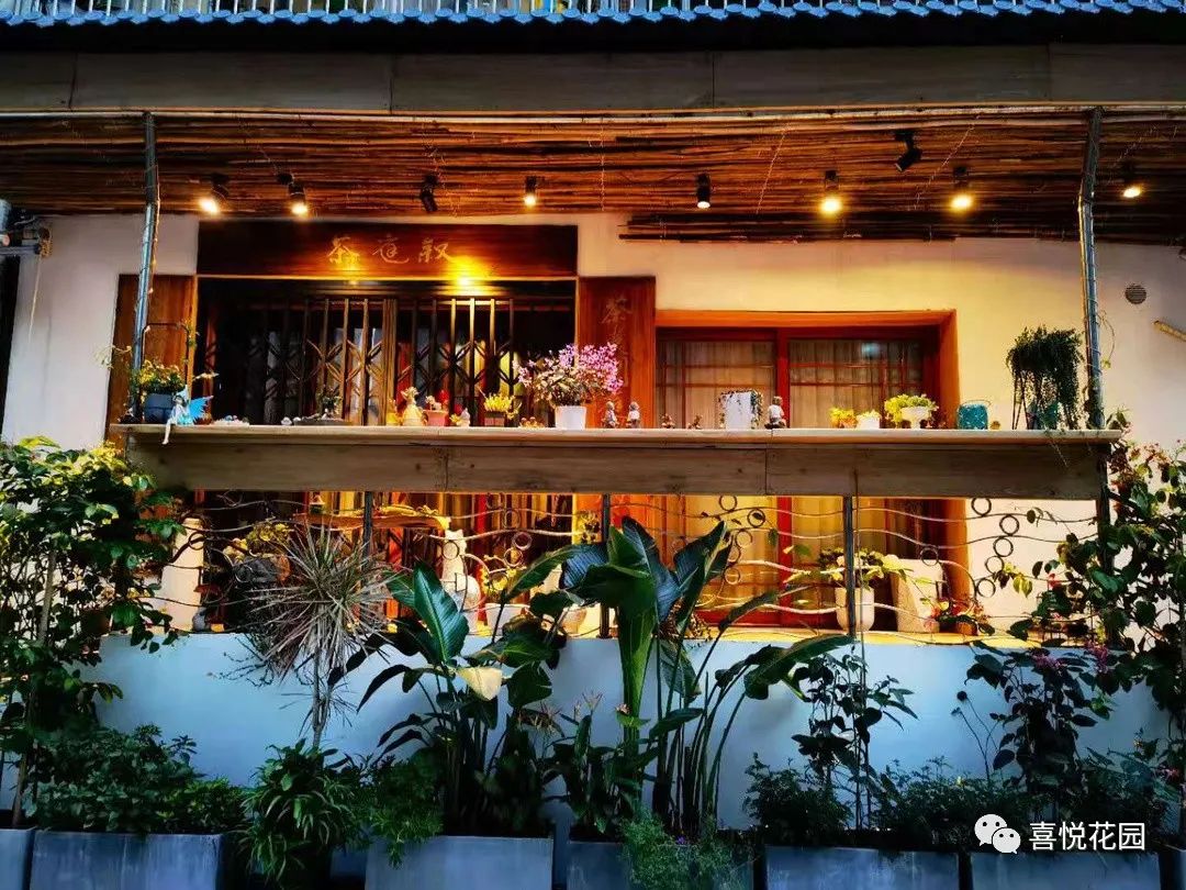 在阳台上能晒日光浴吗_阳光浴一般晒多久_阳台沐浴阳光