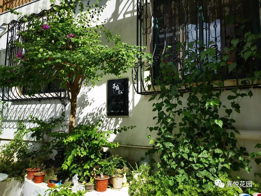 在阳台上能晒日光浴吗_阳台沐浴阳光_阳光浴一般晒多久