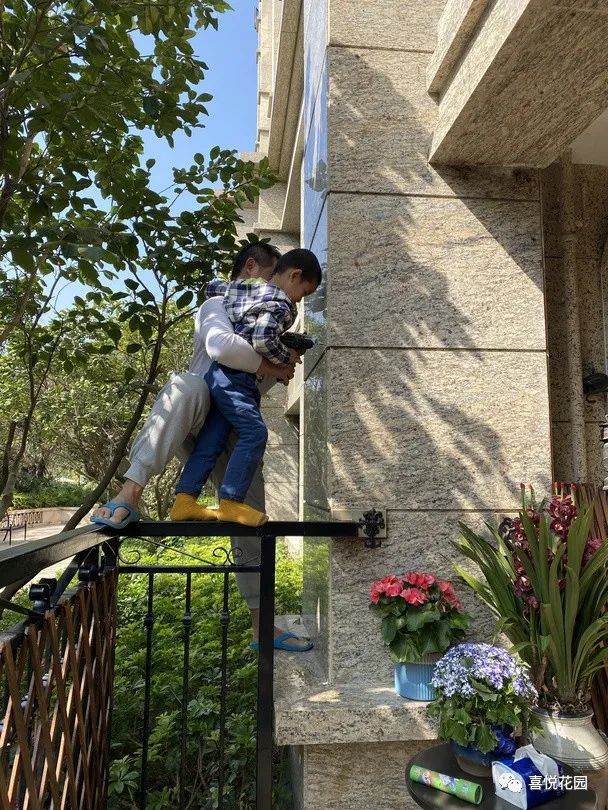 阳光浴一般晒多久_在阳台上能晒日光浴吗_阳台沐浴阳光