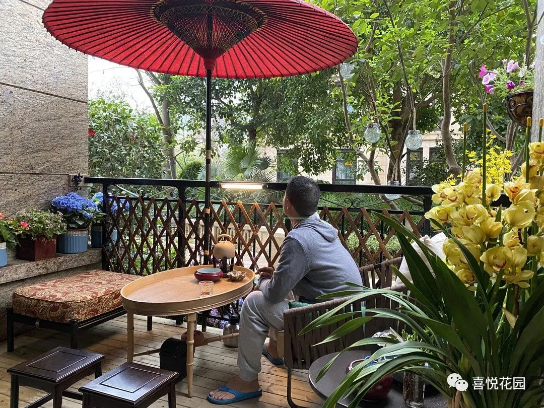 在阳台上能晒日光浴吗_阳光浴一般晒多久_阳台沐浴阳光