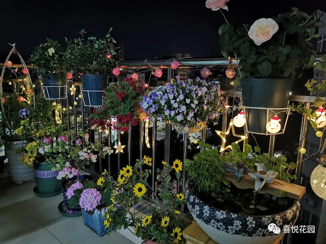 阳光浴一般晒多久_在阳台上能晒日光浴吗_阳台沐浴阳光