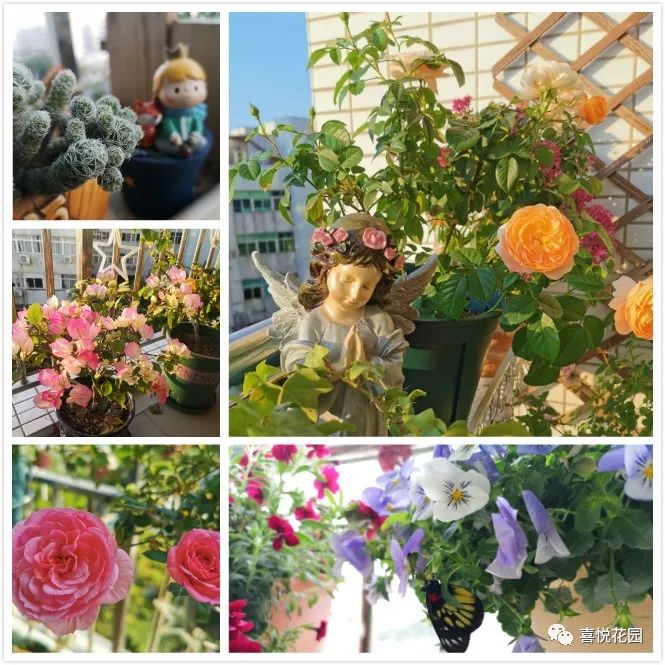 阳台沐浴阳光_在阳台上能晒日光浴吗_阳光浴一般晒多久