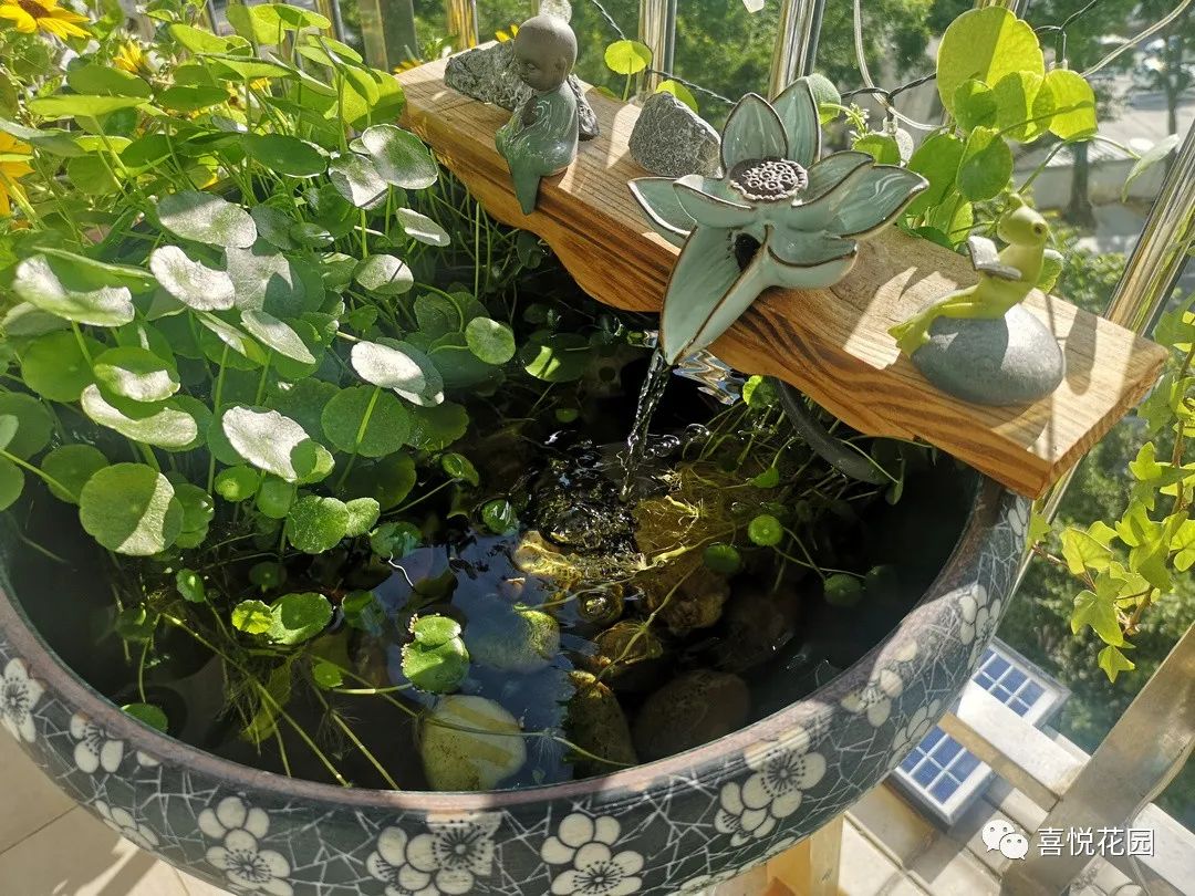 阳光浴一般晒多久_阳台沐浴阳光_在阳台上能晒日光浴吗