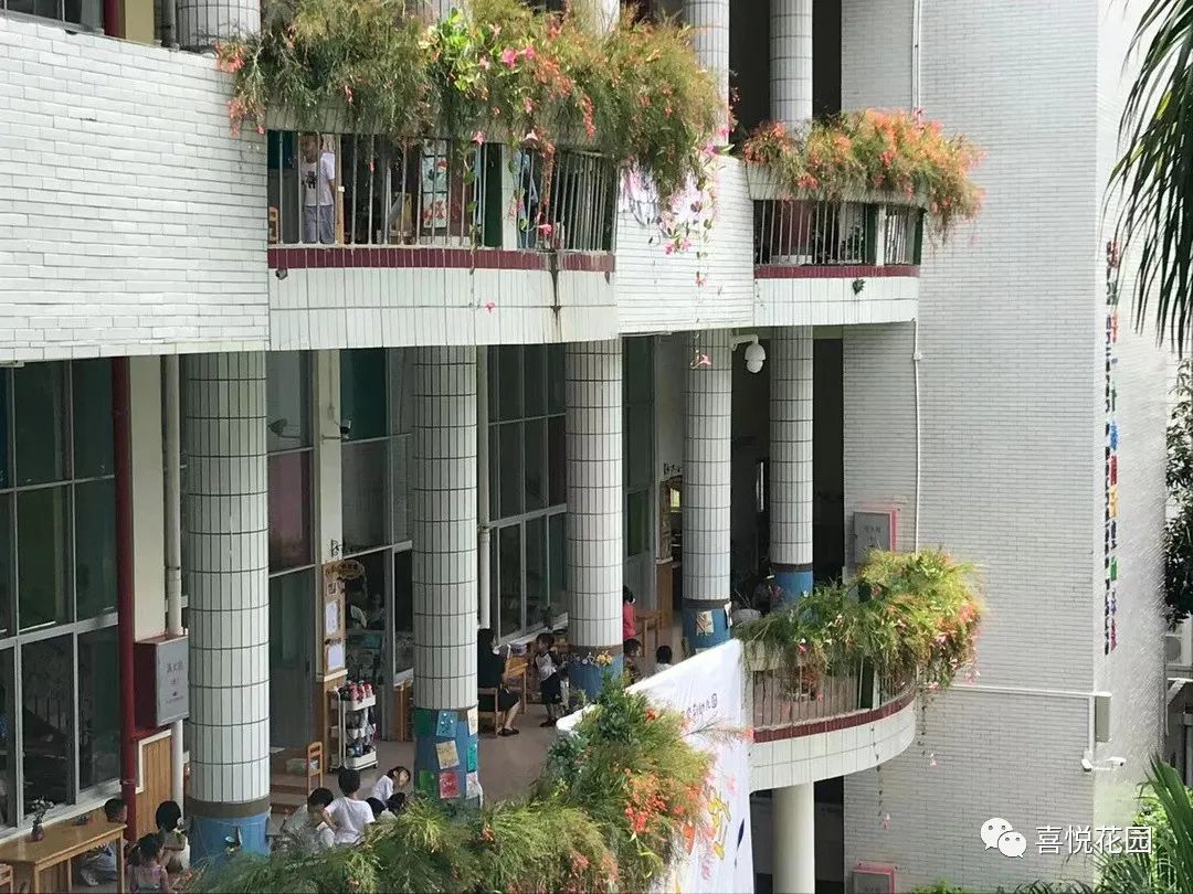 阳台沐浴阳光_在阳台上能晒日光浴吗_阳光浴一般晒多久