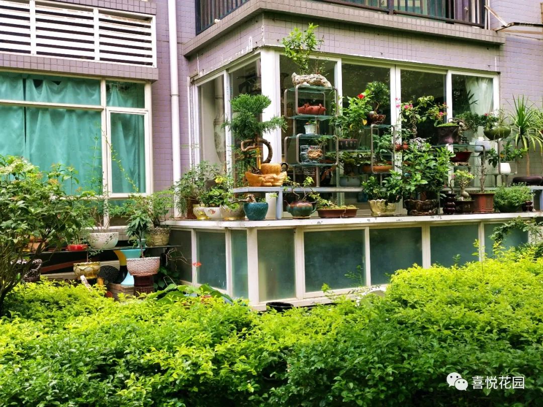 阳光浴一般晒多久_阳台沐浴阳光_在阳台上能晒日光浴吗