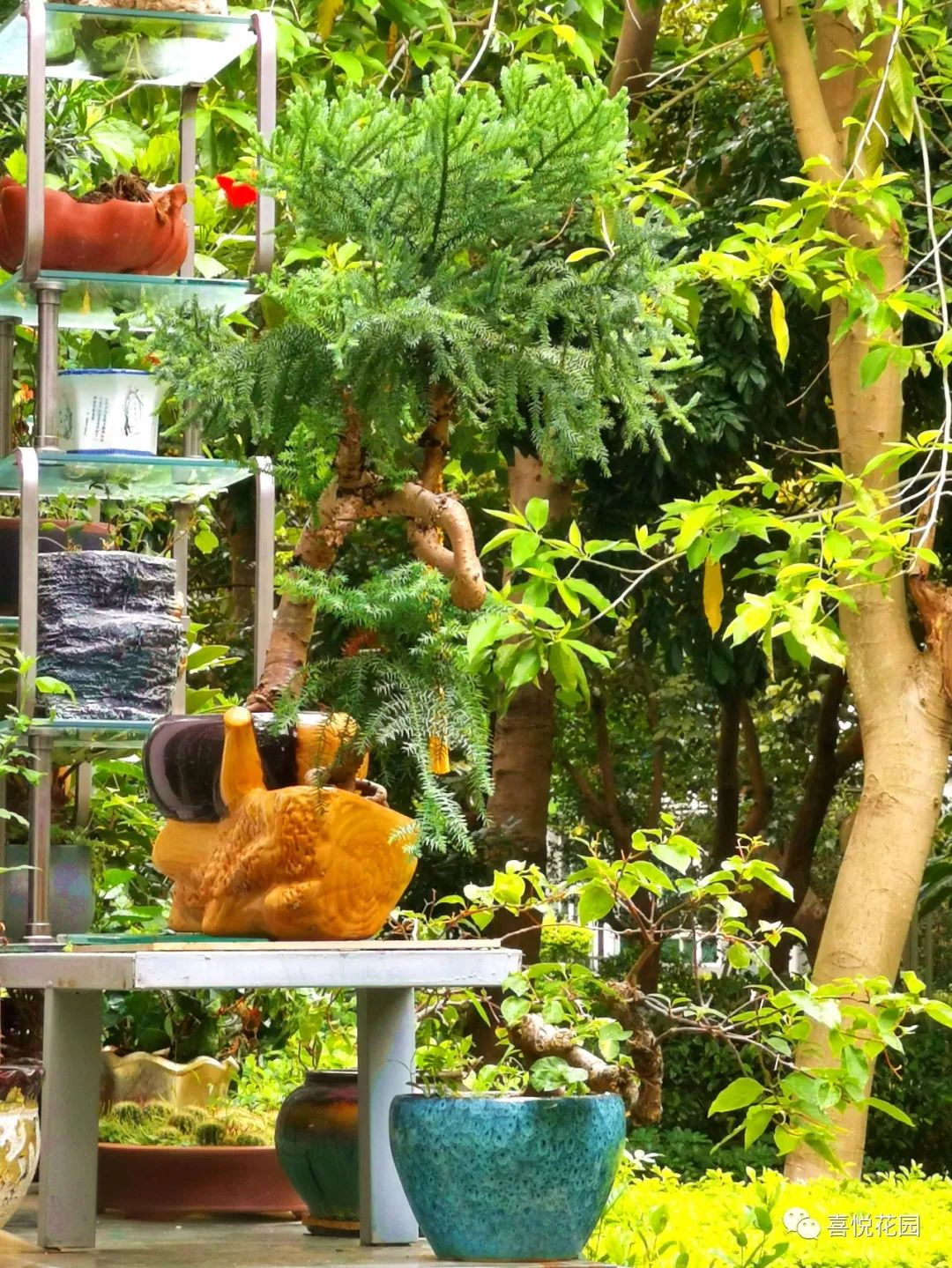 阳台沐浴阳光_在阳台上能晒日光浴吗_阳光浴一般晒多久