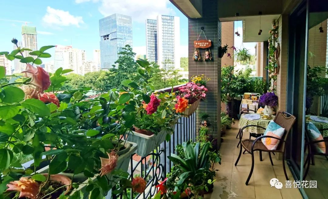 在阳台上能晒日光浴吗_阳台沐浴阳光_阳光浴一般晒多久