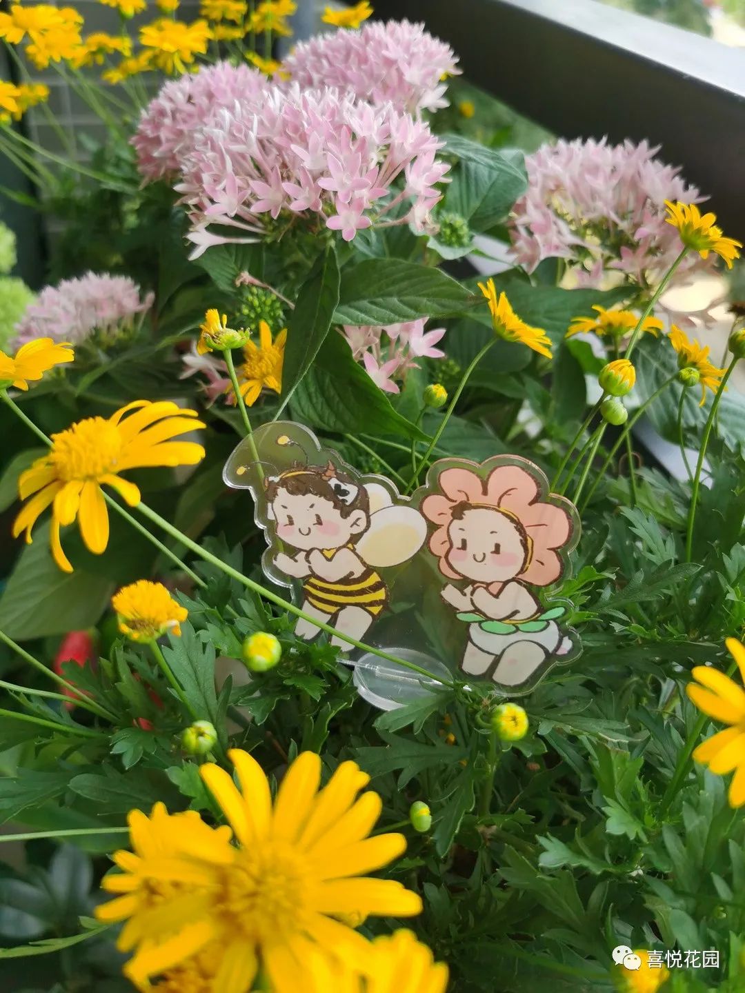 阳光浴一般晒多久_阳台沐浴阳光_在阳台上能晒日光浴吗