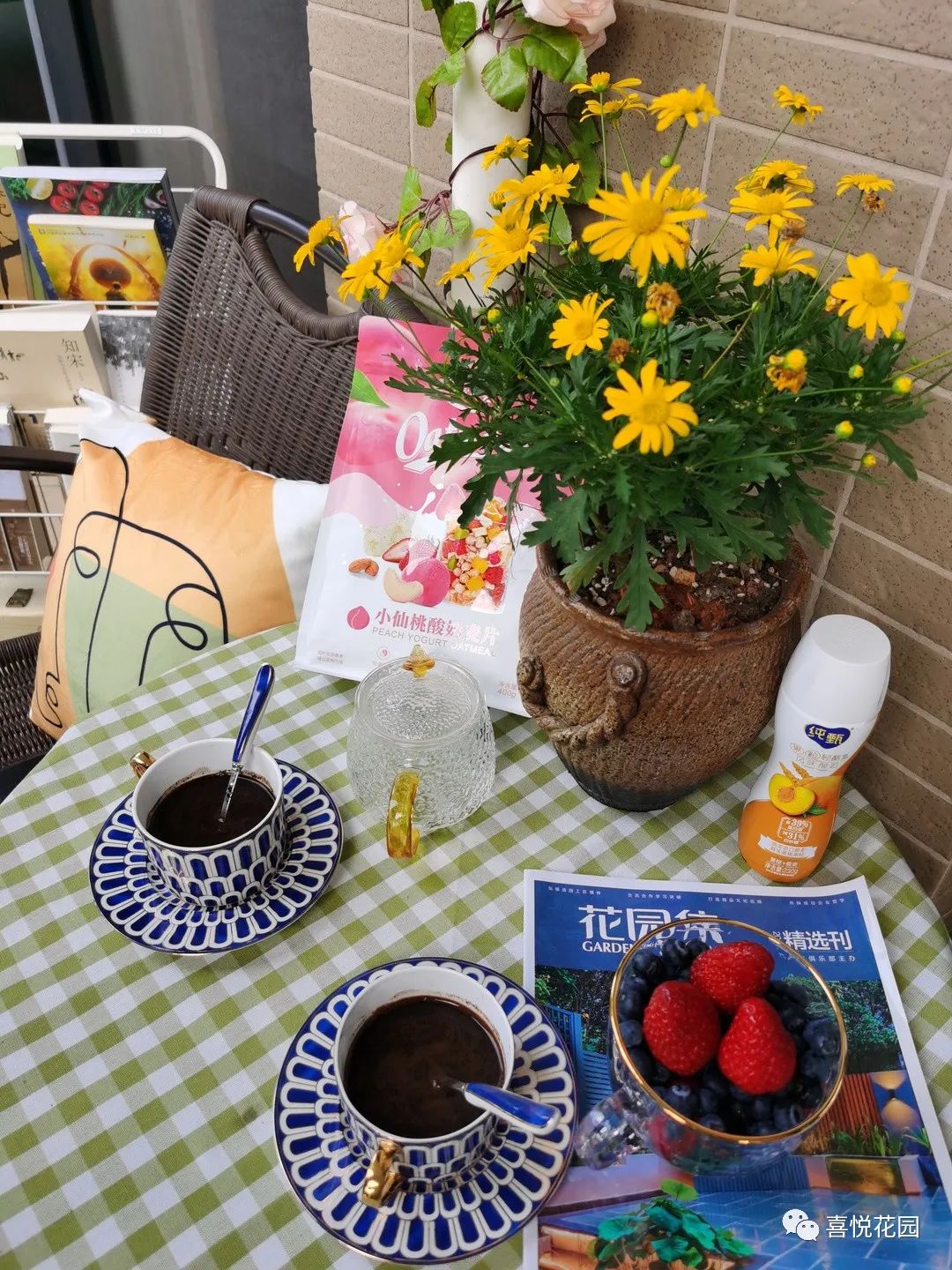 阳光浴一般晒多久_在阳台上能晒日光浴吗_阳台沐浴阳光