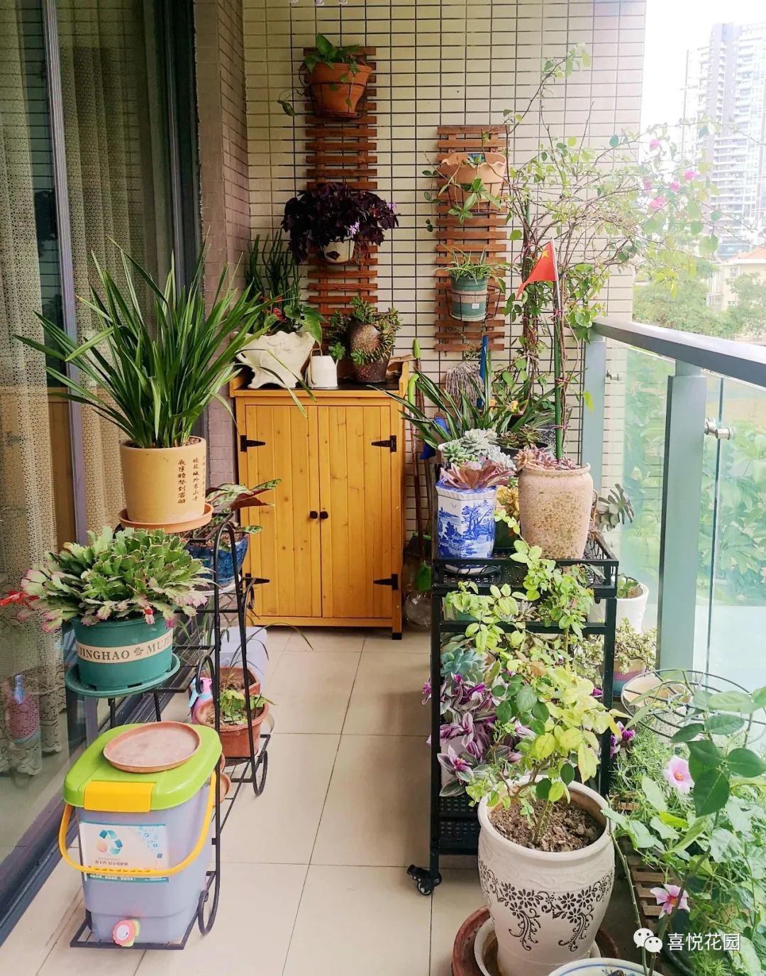 阳台沐浴阳光_在阳台上能晒日光浴吗_阳光浴一般晒多久