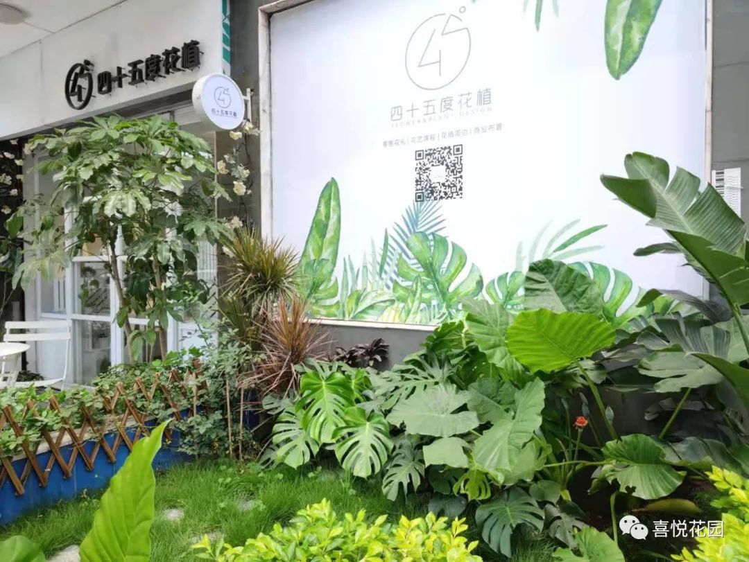 阳台沐浴阳光_在阳台上能晒日光浴吗_阳光浴一般晒多久