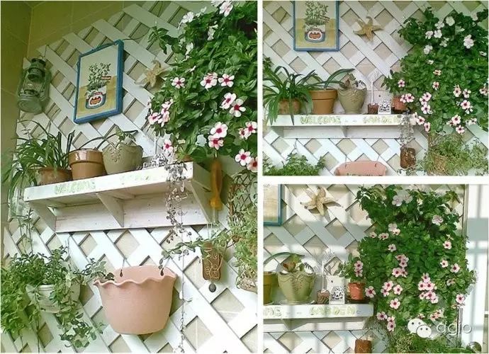 在阳台上能晒日光浴吗_阳台上晒太阳有用吗_阳台晒太阳