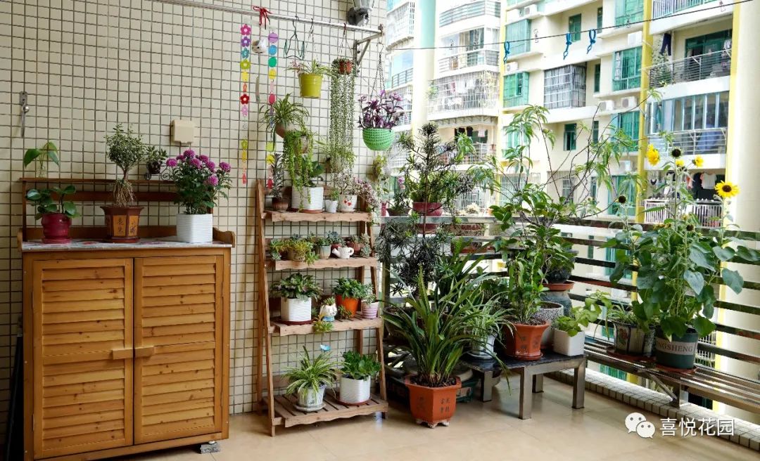 在阳台上能晒日光浴吗_阳光浴一般晒多久_阳台沐浴阳光