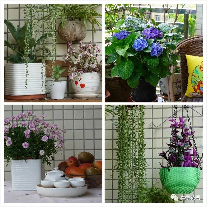 阳台沐浴阳光_在阳台上能晒日光浴吗_阳光浴一般晒多久