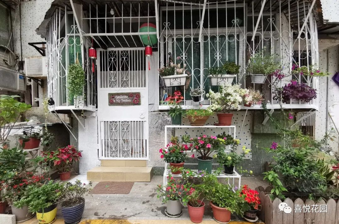 阳台沐浴阳光_阳光浴一般晒多久_在阳台上能晒日光浴吗