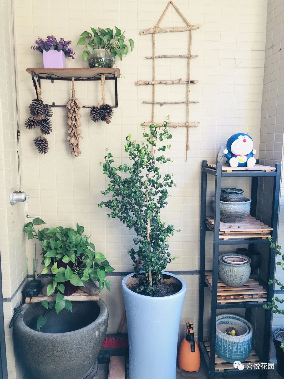 阳光浴一般晒多久_阳台沐浴阳光_在阳台上能晒日光浴吗