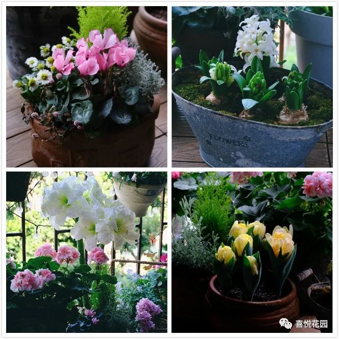 在阳台上能晒日光浴吗_阳光浴一般晒多久_阳台沐浴阳光