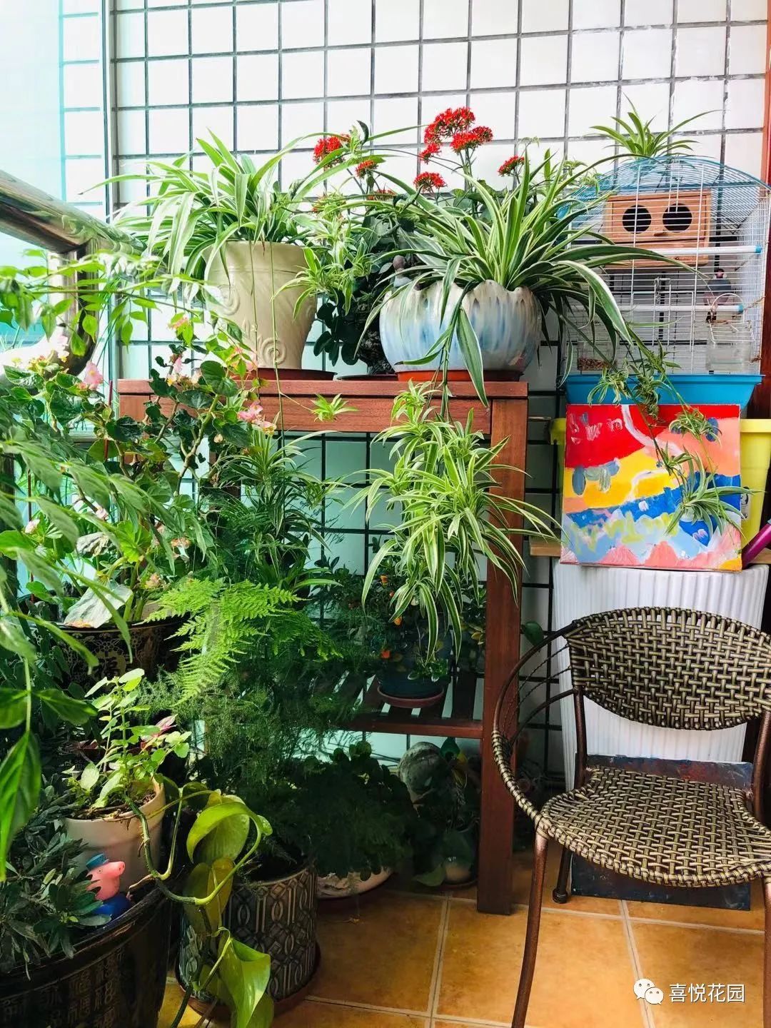 阳台沐浴阳光_在阳台上能晒日光浴吗_阳光浴一般晒多久