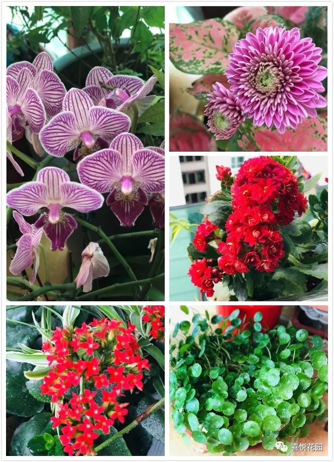 阳光浴一般晒多久_阳台沐浴阳光_在阳台上能晒日光浴吗