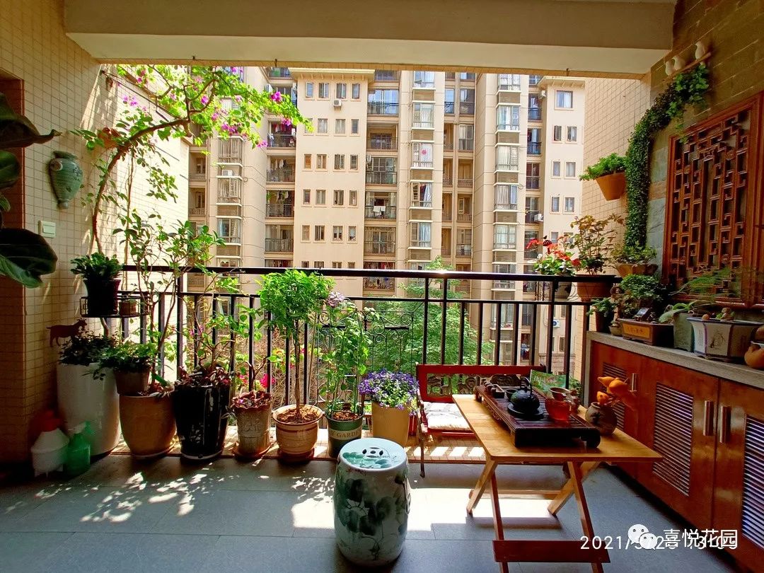 在阳台上能晒日光浴吗_阳光浴一般晒多久_阳台沐浴阳光