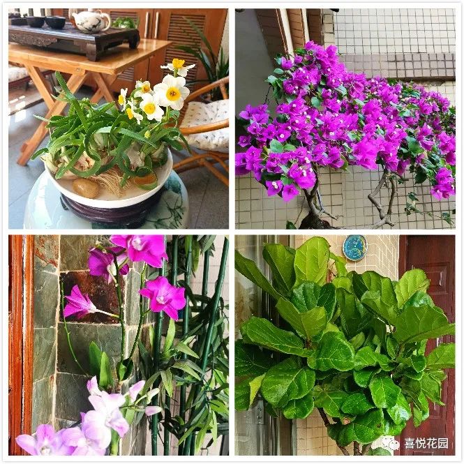 阳光浴一般晒多久_阳台沐浴阳光_在阳台上能晒日光浴吗