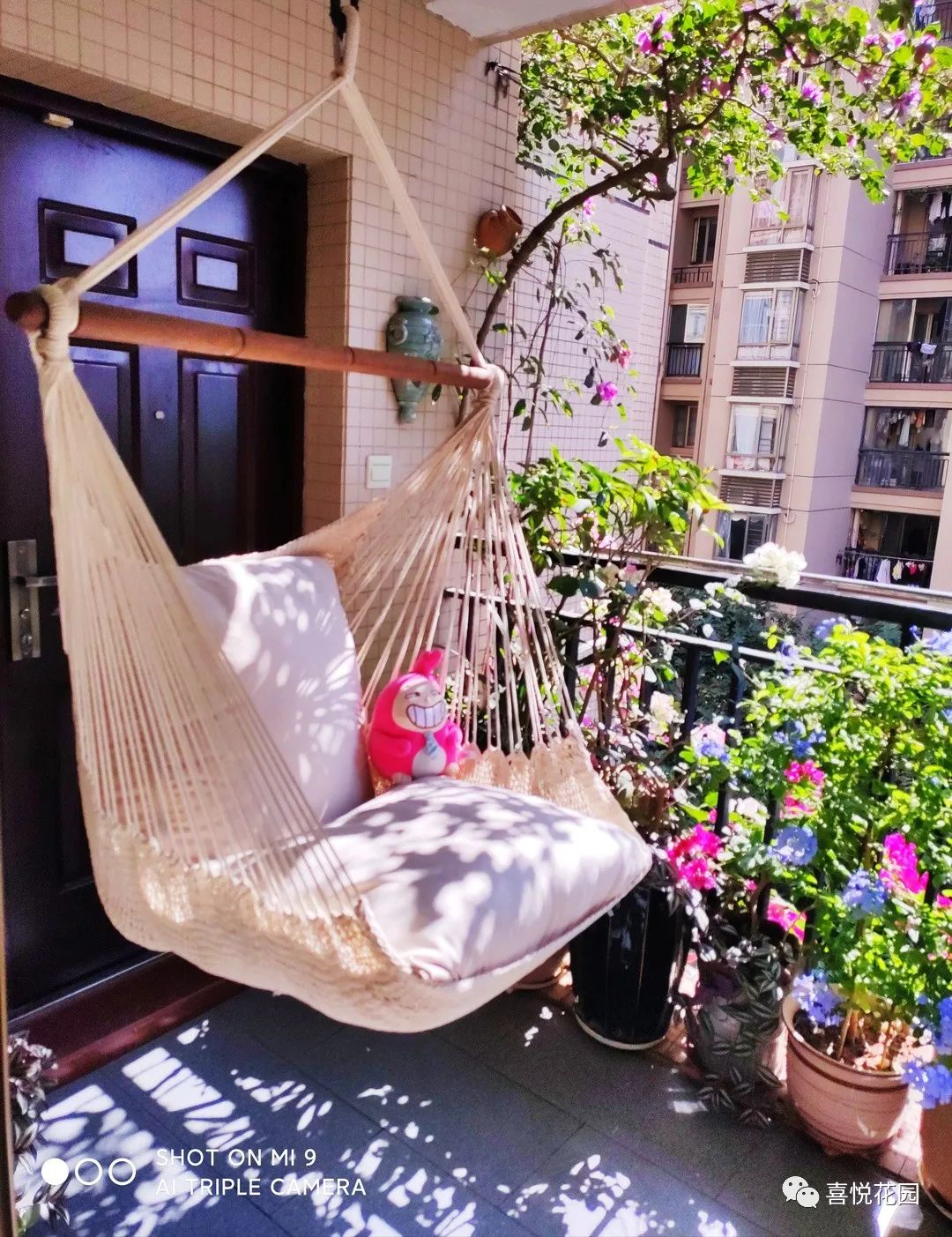 阳台沐浴阳光_在阳台上能晒日光浴吗_阳光浴一般晒多久