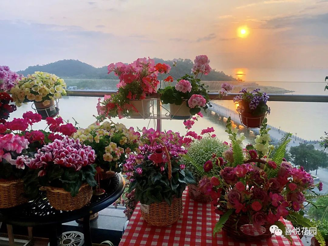 阳台沐浴阳光_在阳台上能晒日光浴吗_阳光浴一般晒多久