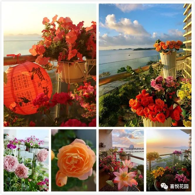 阳光浴一般晒多久_阳台沐浴阳光_在阳台上能晒日光浴吗