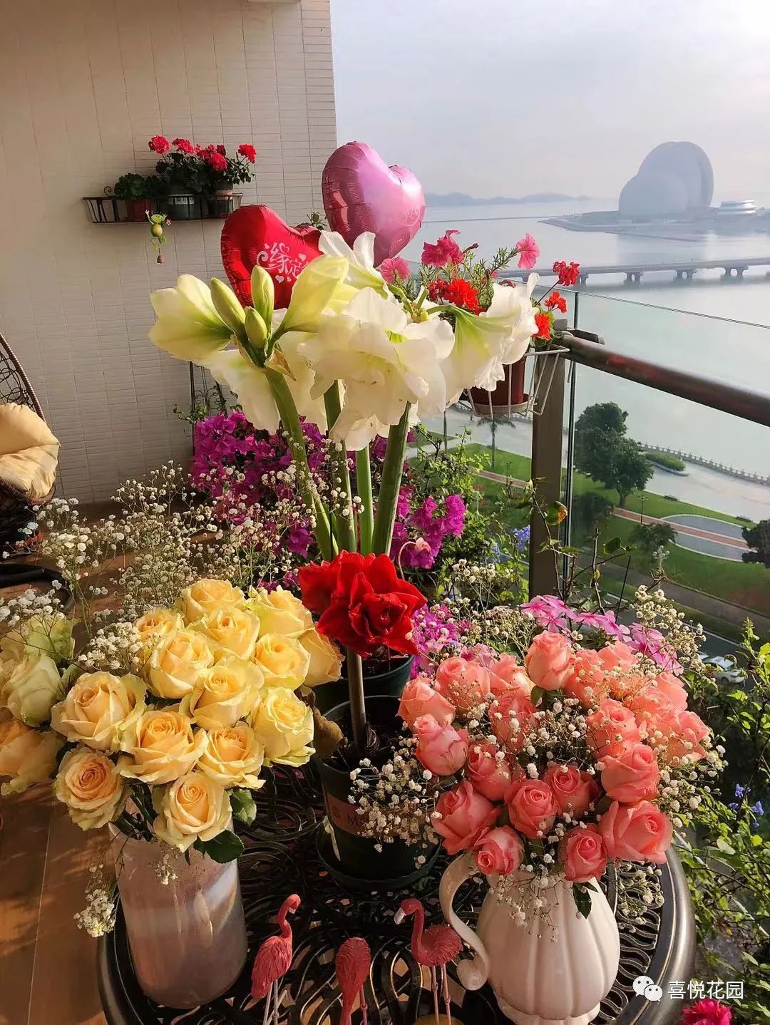 在阳台上能晒日光浴吗_阳光浴一般晒多久_阳台沐浴阳光