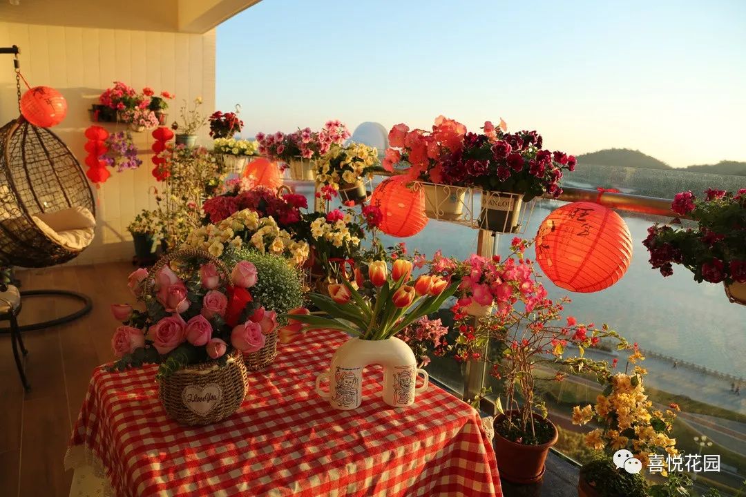 阳台沐浴阳光_在阳台上能晒日光浴吗_阳光浴一般晒多久