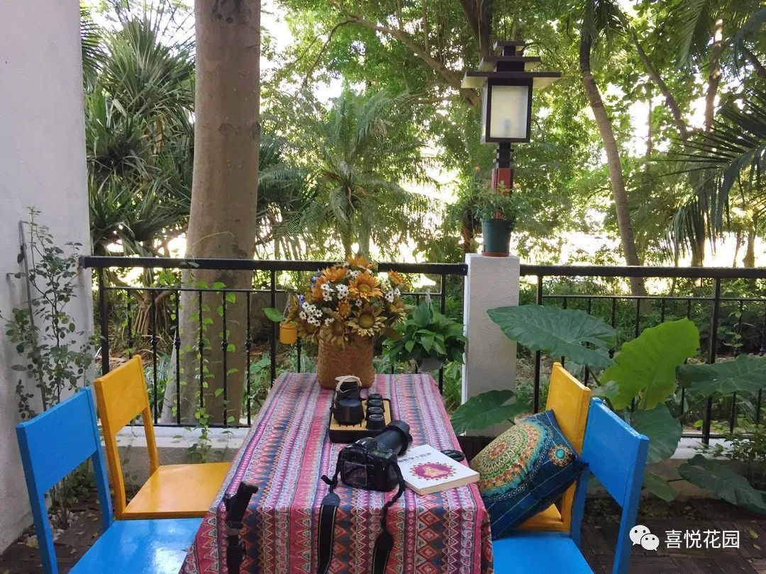 阳台沐浴阳光_阳光浴一般晒多久_在阳台上能晒日光浴吗