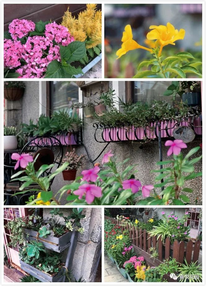 阳台沐浴阳光_在阳台上能晒日光浴吗_阳光浴一般晒多久