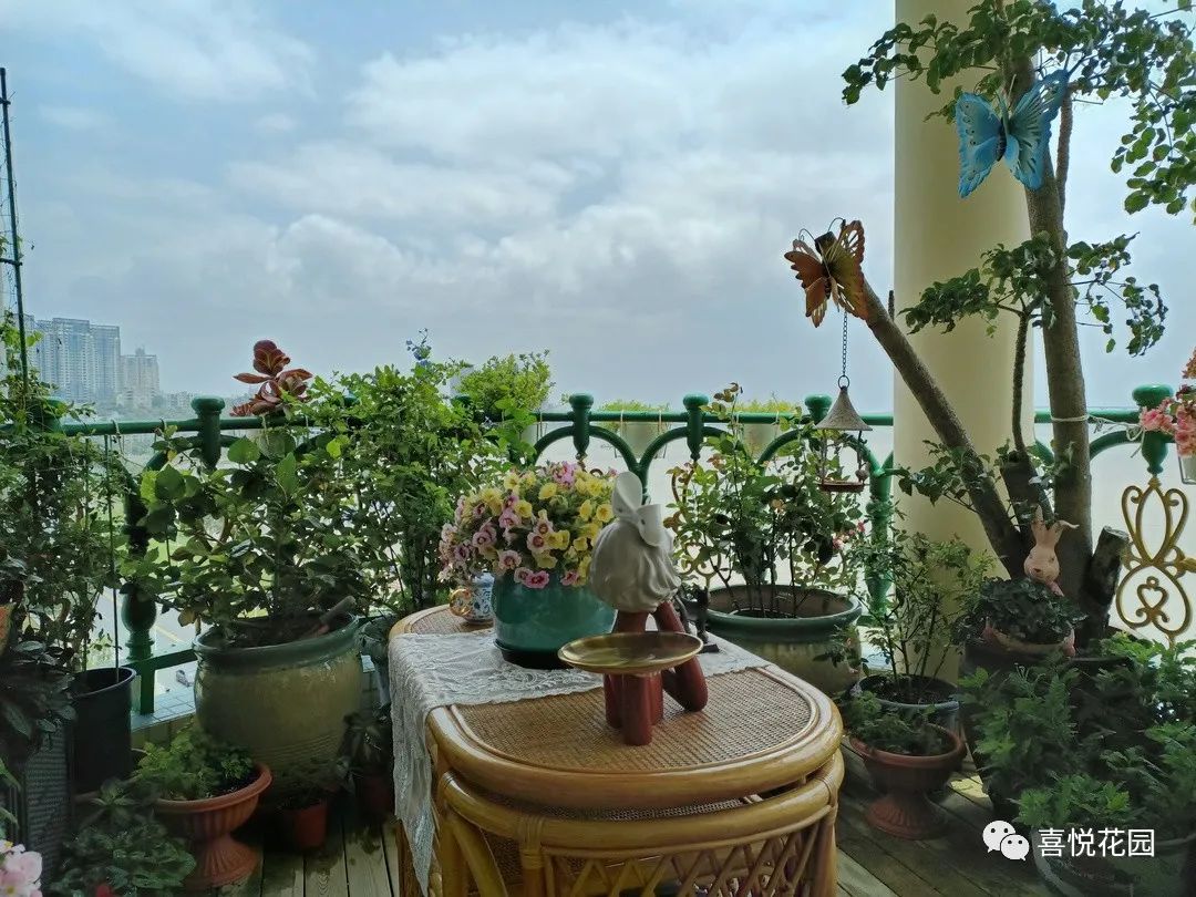 阳光浴一般晒多久_阳台沐浴阳光_在阳台上能晒日光浴吗