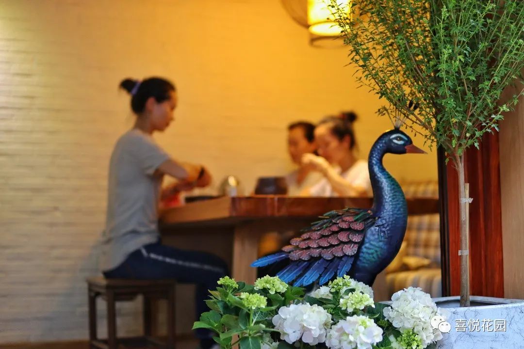 阳台沐浴阳光_在阳台上能晒日光浴吗_阳光浴一般晒多久