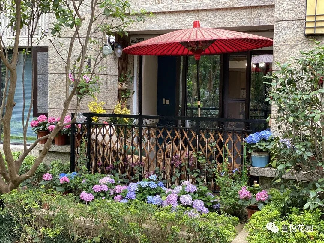 阳台沐浴阳光_阳光浴一般晒多久_在阳台上能晒日光浴吗